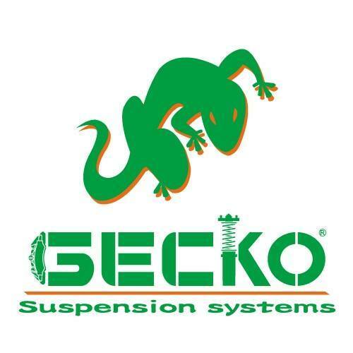 Honda Civic Type R FN2 Gecko Suspension Coilovers - Image 2